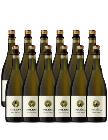 2019 Blanc de Blancs 12 Pack